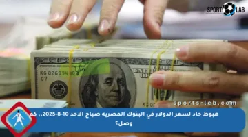 هبوط حاد لسعر الدولار في البنوك المصرية صباح الأحد 10-8-2025.. كم وصل؟